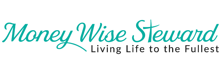 Heroes: Money Wise Steward