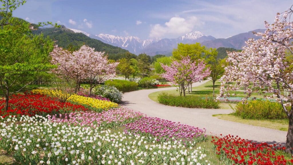 Heroes: garden of eden