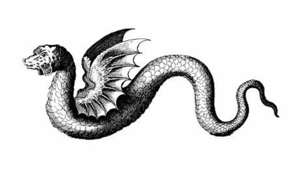 Sussurro de uma cobra - desenho enganoso de uma mulher